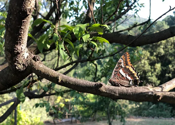 Casa de Férias Casita Linda - Mas En Pleine Nature Anduze